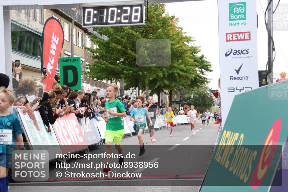 21.09.2025 - PSD Bank Halbmarathon Strokosch-Dieckow http://msf.ph/oto/8938956 21.09.2025 10:28:00 Ziel 144, 203, 241, 254, 289, 354, 367, 401, 451 meine-sportfotos.de