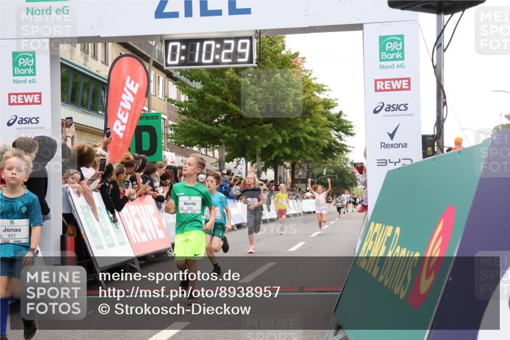 21.09.2025 - PSD Bank Halbmarathon Strokosch-Dieckow http://msf.ph/oto/8938957 21.09.2025 10:28:01 Ziel 144, 203, 241, 254, 289, 354, 367, 401, 451 meine-sportfotos.de
