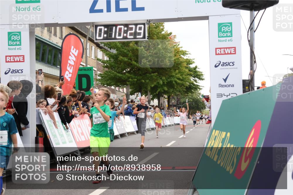 21.09.2025 - PSD Bank Halbmarathon Strokosch-Dieckow http://msf.ph/oto/8938958 21.09.2025 10:28:01 Ziel 144, 203, 241, 254, 289, 354, 367, 401, 451 meine-sportfotos.de