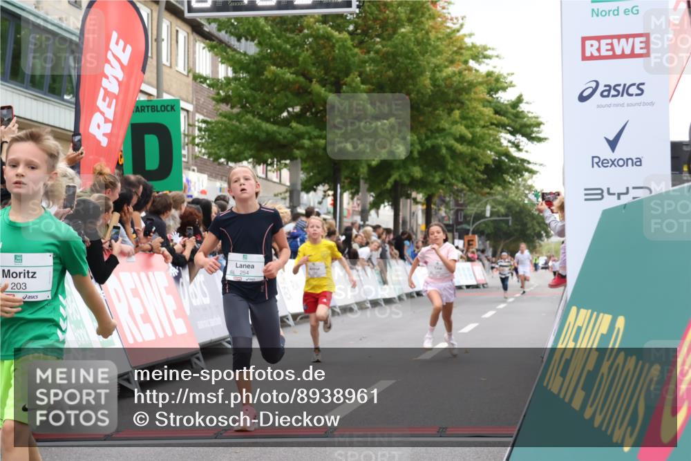21.09.2025 - PSD Bank Halbmarathon Strokosch-Dieckow http://msf.ph/oto/8938961 21.09.2025 10:28:02 Ziel 144, 203, 241, 254, 289, 354, 367, 401, 451 meine-sportfotos.de