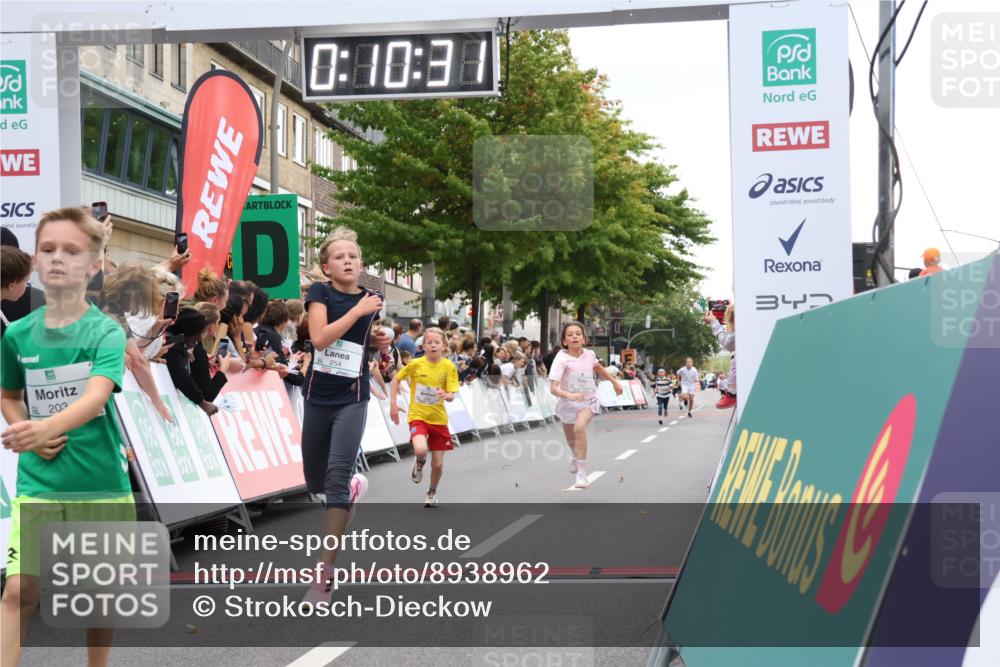 21.09.2025 - PSD Bank Halbmarathon Strokosch-Dieckow http://msf.ph/oto/8938962 21.09.2025 10:28:03 Ziel 144, 203, 241, 254, 289, 354, 367, 401, 451 meine-sportfotos.de