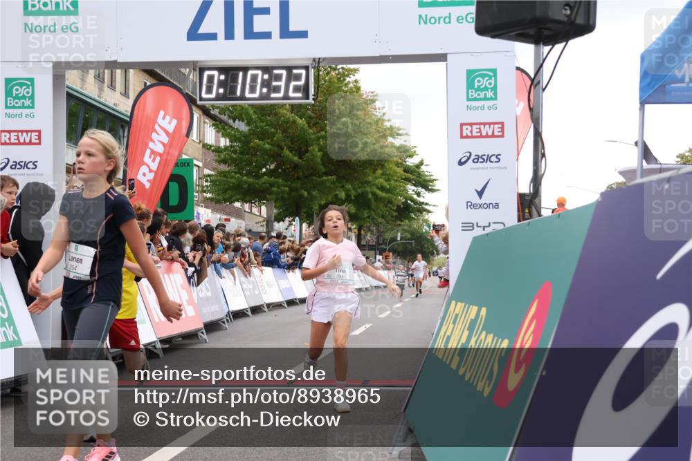 21.09.2025 - PSD Bank Halbmarathon Strokosch-Dieckow http://msf.ph/oto/8938965 21.09.2025 10:28:04 Ziel 203, 241, 254, 289, 354, 367, 401, 451 meine-sportfotos.de