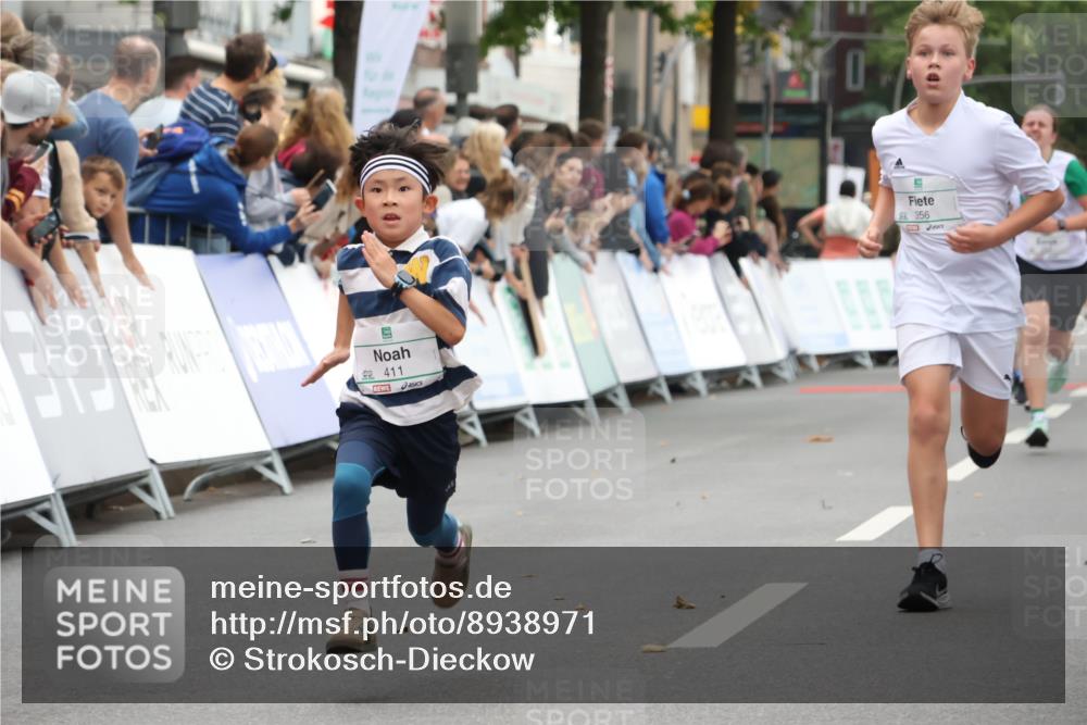 21.09.2025 - PSD Bank Halbmarathon Strokosch-Dieckow http://msf.ph/oto/8938971 21.09.2025 10:28:08 Ziel 203, 241, 254, 289, 356, 401, 411 meine-sportfotos.de