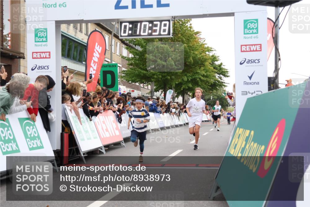 21.09.2025 - PSD Bank Halbmarathon Strokosch-Dieckow http://msf.ph/oto/8938973 21.09.2025 10:28:09 Ziel 241, 253, 254, 289, 356, 401, 411 meine-sportfotos.de