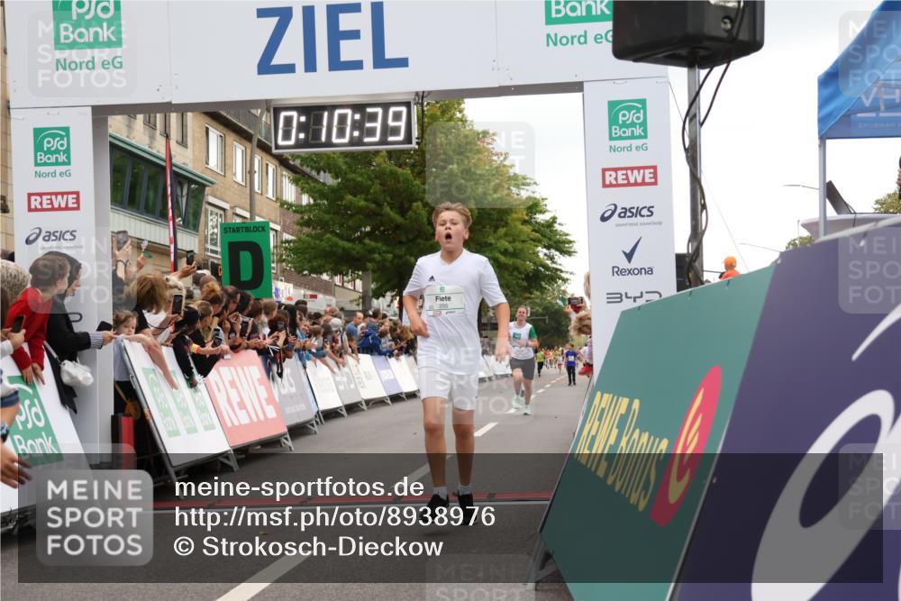 21.09.2025 - PSD Bank Halbmarathon Strokosch-Dieckow http://msf.ph/oto/8938976 21.09.2025 10:28:11 Ziel 241, 253, 289, 356, 411, 442 meine-sportfotos.de