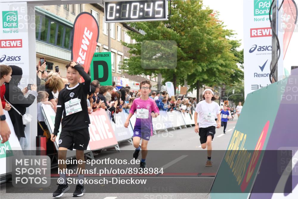 21.09.2025 - PSD Bank Halbmarathon Strokosch-Dieckow http://msf.ph/oto/8938984 21.09.2025 10:28:17 Ziel 213, 220, 253, 288, 356, 411, 442 meine-sportfotos.de