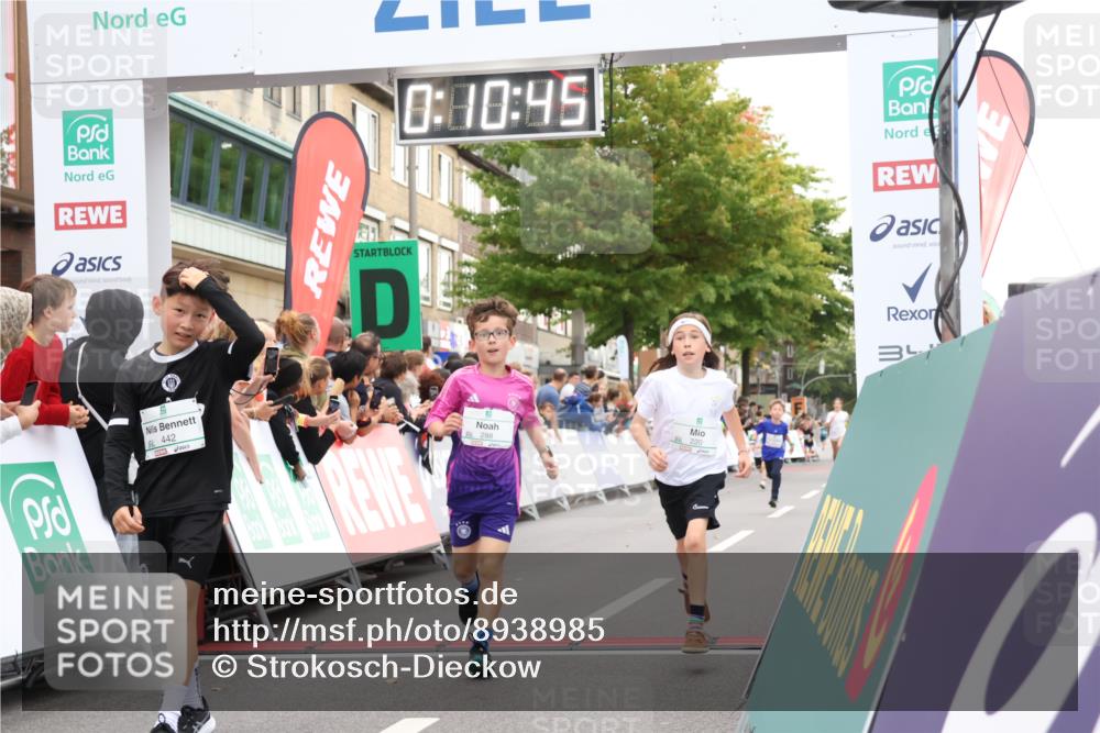 21.09.2025 - PSD Bank Halbmarathon Strokosch-Dieckow http://msf.ph/oto/8938985 21.09.2025 10:28:17 Ziel 213, 220, 253, 288, 356, 411, 442 meine-sportfotos.de