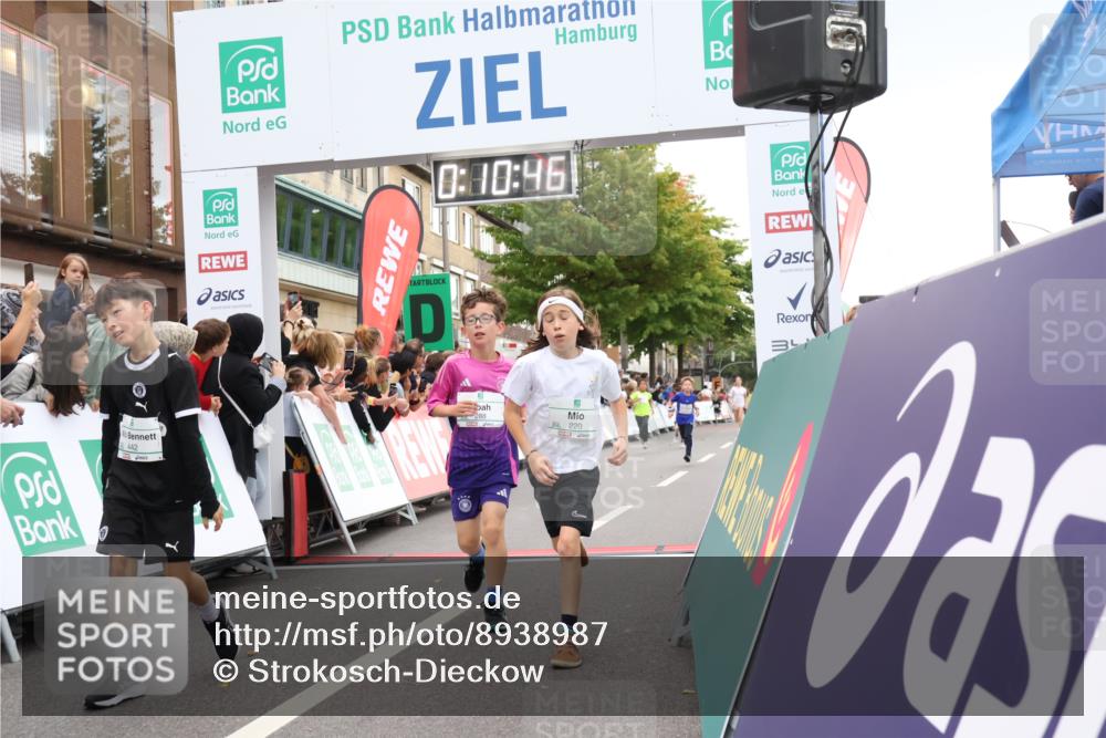 21.09.2025 - PSD Bank Halbmarathon Strokosch-Dieckow http://msf.ph/oto/8938987 21.09.2025 10:28:18 Ziel 213, 220, 253, 270, 288, 356, 425, 442 meine-sportfotos.de