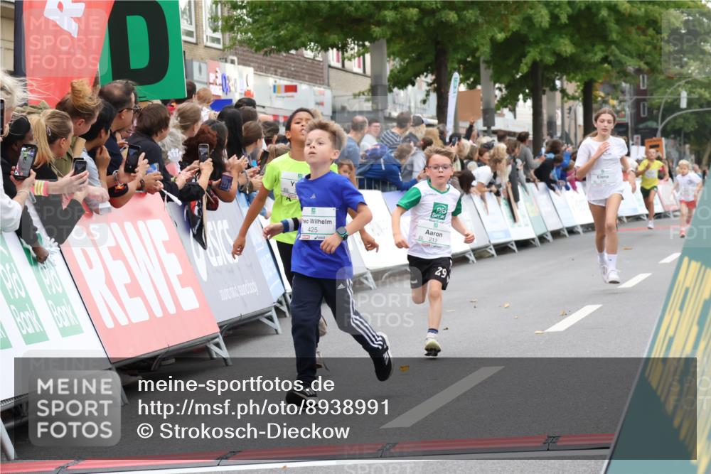 21.09.2025 - PSD Bank Halbmarathon Strokosch-Dieckow http://msf.ph/oto/8938991 21.09.2025 10:28:21 Ziel 213, 220, 240, 253, 270, 288, 425, 442 meine-sportfotos.de