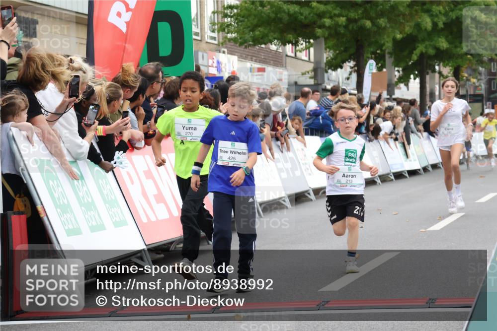 21.09.2025 - PSD Bank Halbmarathon Strokosch-Dieckow http://msf.ph/oto/8938992 21.09.2025 10:28:22 Ziel 213, 220, 240, 270, 288, 425, 442 meine-sportfotos.de