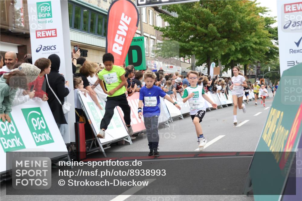 21.09.2025 - PSD Bank Halbmarathon Strokosch-Dieckow http://msf.ph/oto/8938993 21.09.2025 10:28:22 Ziel 213, 220, 240, 270, 288, 425, 442 meine-sportfotos.de