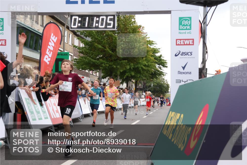21.09.2025 - PSD Bank Halbmarathon Strokosch-Dieckow http://msf.ph/oto/8939018 21.09.2025 10:28:36 Ziel 123, 150, 157, 197, 204, 205, 215, 316, 317, 321, 426, 461 meine-sportfotos.de