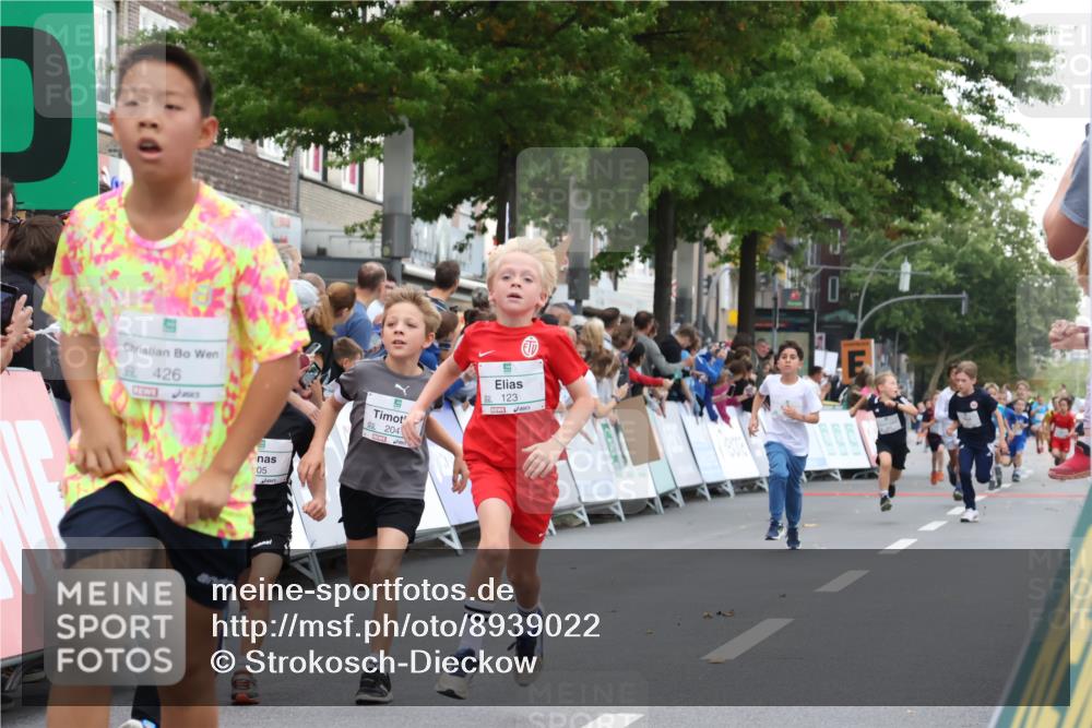 21.09.2025 - PSD Bank Halbmarathon Strokosch-Dieckow http://msf.ph/oto/8939022 21.09.2025 10:28:39 Ziel 123, 150, 157, 197, 204, 205, 215, 317, 321, 426 meine-sportfotos.de