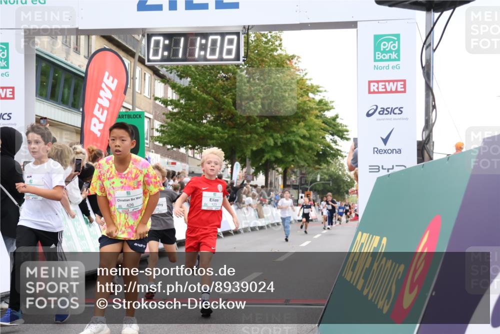 21.09.2025 - PSD Bank Halbmarathon Strokosch-Dieckow http://msf.ph/oto/8939024 21.09.2025 10:28:40 Ziel 123, 150, 157, 197, 198, 204, 205, 215, 317, 321, 374, 426 meine-sportfotos.de