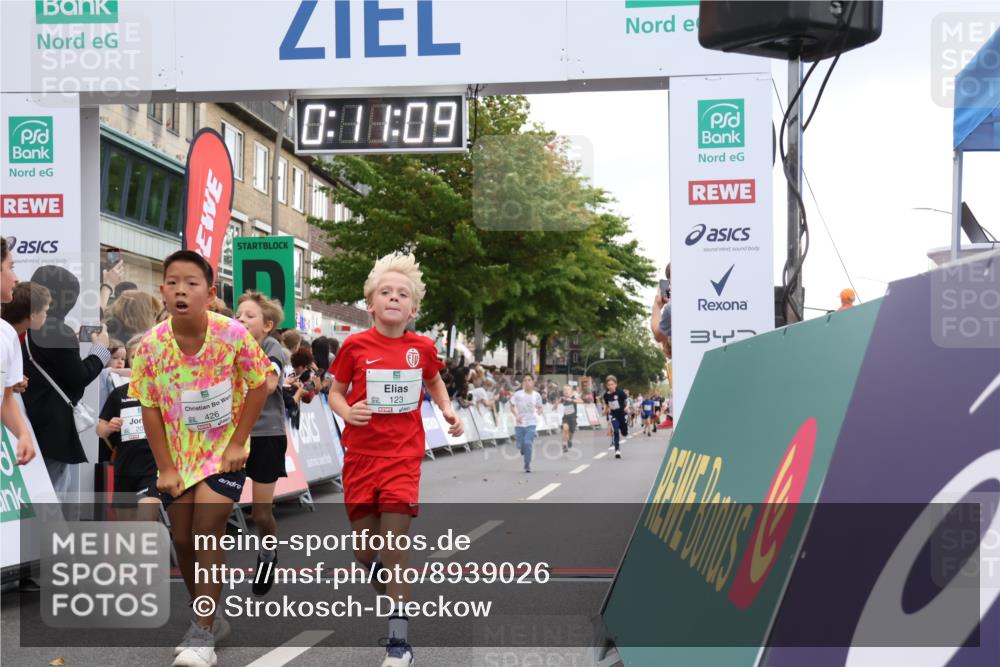 21.09.2025 - PSD Bank Halbmarathon Strokosch-Dieckow http://msf.ph/oto/8939026 21.09.2025 10:28:41 Ziel 123, 150, 197, 198, 204, 205, 215, 317, 321, 361, 374, 426 meine-sportfotos.de