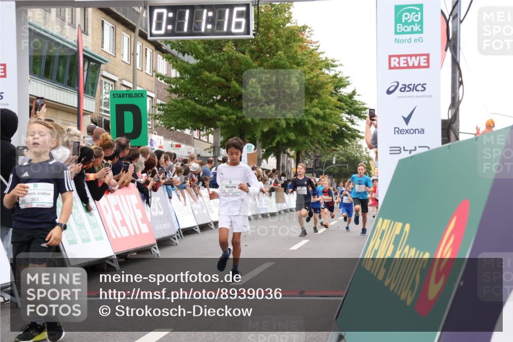 21.09.2025 - PSD Bank Halbmarathon Strokosch-Dieckow http://msf.ph/oto/8939036 21.09.2025 10:28:47 Ziel 123, 126, 197, 198, 204, 205, 357, 361, 374, 388, 389, 408, 437 meine-sportfotos.de