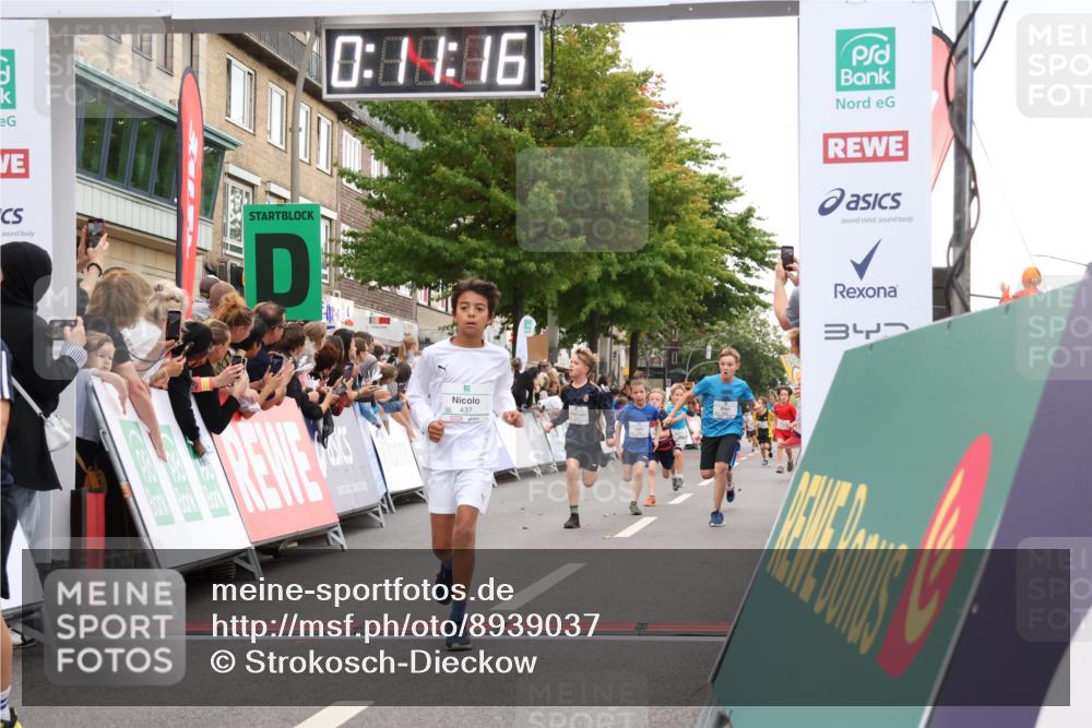 21.09.2025 - PSD Bank Halbmarathon Strokosch-Dieckow http://msf.ph/oto/8939037 21.09.2025 10:28:48 Ziel 126, 198, 205, 357, 361, 371, 374, 388, 389, 408, 437 meine-sportfotos.de