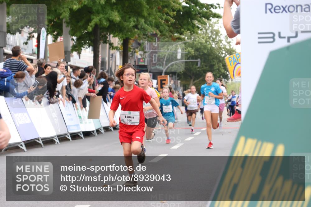 21.09.2025 - PSD Bank Halbmarathon Strokosch-Dieckow http://msf.ph/oto/8939043 21.09.2025 10:28:52 Ziel 126, 198, 255, 266, 357, 361, 371, 374, 388, 389, 397, 408, 437, 440 meine-sportfotos.de