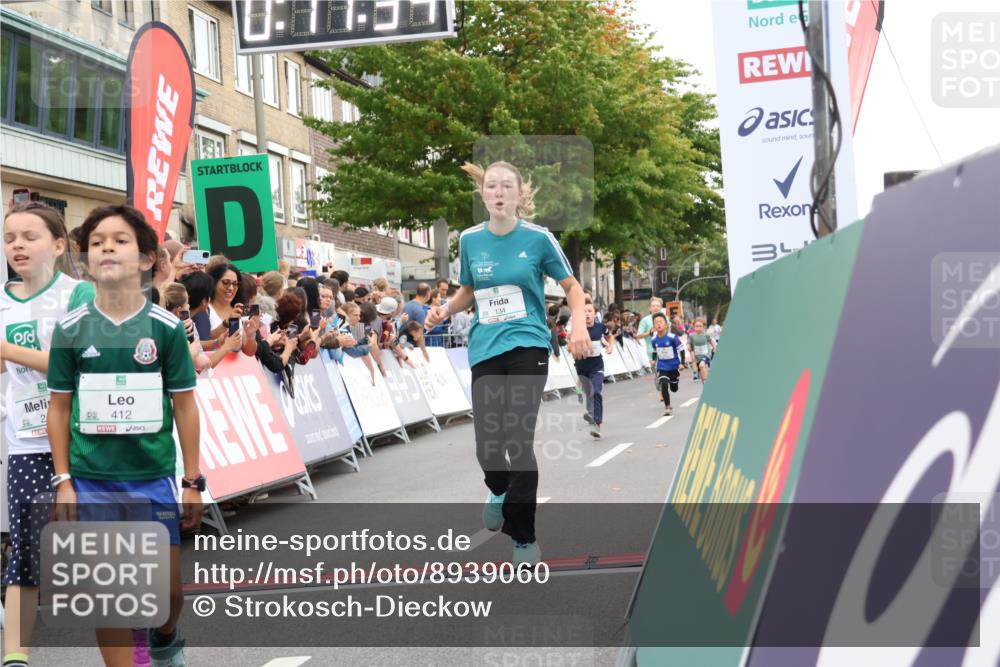 21.09.2025 - PSD Bank Halbmarathon Strokosch-Dieckow http://msf.ph/oto/8939060 21.09.2025 10:29:06 Ziel 134, 142, 167, 193, 194, 196, 212, 258, 294, 337, 338, 412, 415, 452 meine-sportfotos.de