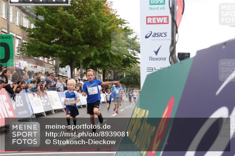 21.09.2025 - PSD Bank Halbmarathon Strokosch-Dieckow http://msf.ph/oto/8939081 21.09.2025 10:29:18 Ziel 155, 168, 196, 267, 327, 390, 416, 443 meine-sportfotos.de