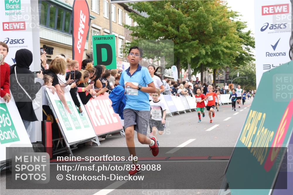 21.09.2025 - PSD Bank Halbmarathon Strokosch-Dieckow http://msf.ph/oto/8939088 21.09.2025 10:29:23 Ziel 261, 327, 345, 390, 395, 416, 455 meine-sportfotos.de