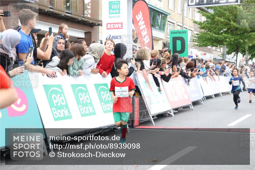 21.09.2025 - PSD Bank Halbmarathon Strokosch-Dieckow http://msf.ph/oto/8939098 21.09.2025 10:29:28 Ziel 233, 250, 261, 345, 381, 390, 395, 434, 455 meine-sportfotos.de