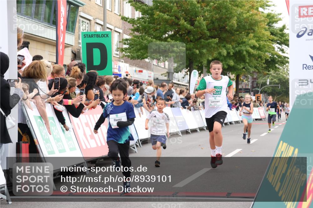 21.09.2025 - PSD Bank Halbmarathon Strokosch-Dieckow http://msf.ph/oto/8939101 21.09.2025 10:29:30 Ziel 166, 233, 250, 261, 301, 345, 381, 390, 395, 406, 434, 455 meine-sportfotos.de