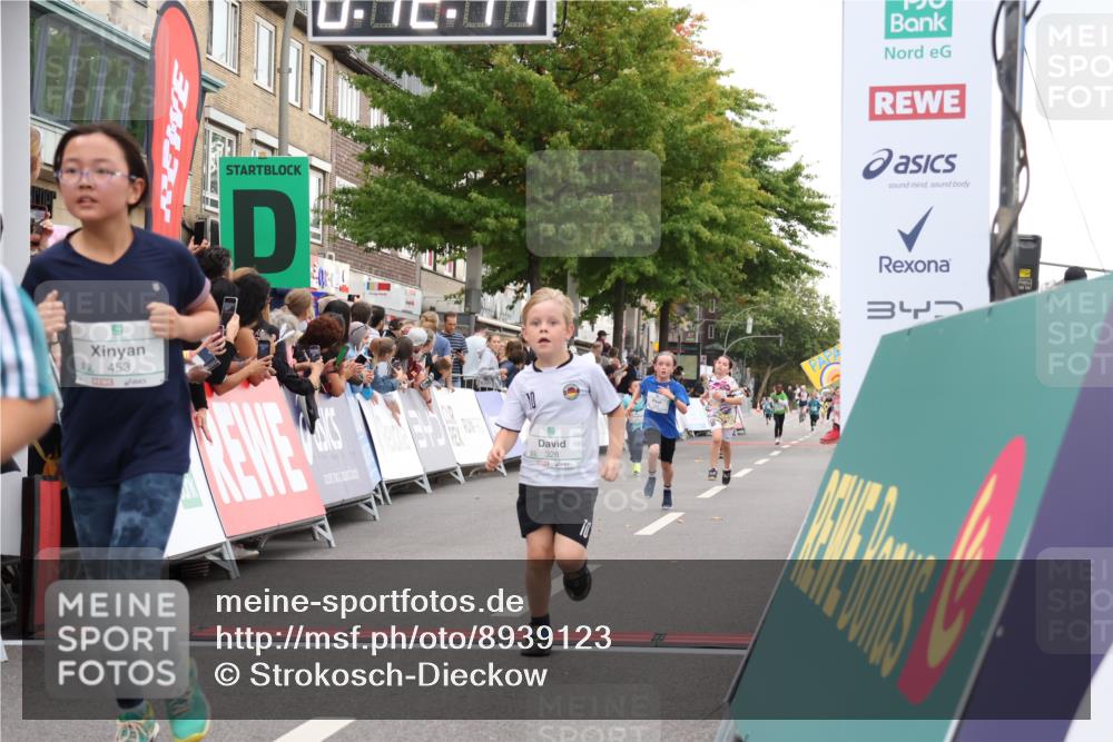 21.09.2025 - PSD Bank Halbmarathon Strokosch-Dieckow http://msf.ph/oto/8939123 21.09.2025 10:29:43 Ziel 132, 235, 328, 393, 453 meine-sportfotos.de