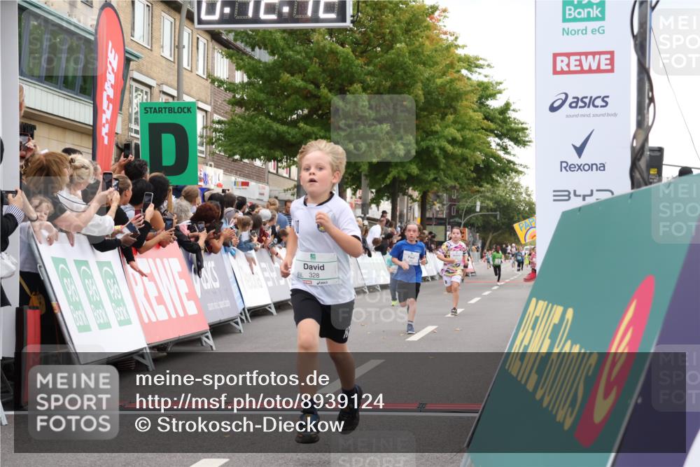 21.09.2025 - PSD Bank Halbmarathon Strokosch-Dieckow http://msf.ph/oto/8939124 21.09.2025 10:29:43 Ziel 132, 235, 328, 393, 453 meine-sportfotos.de