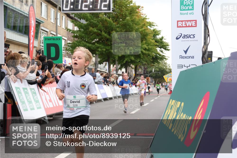 21.09.2025 - PSD Bank Halbmarathon Strokosch-Dieckow http://msf.ph/oto/8939125 21.09.2025 10:29:44 Ziel 132, 235, 300, 328, 393, 453 meine-sportfotos.de