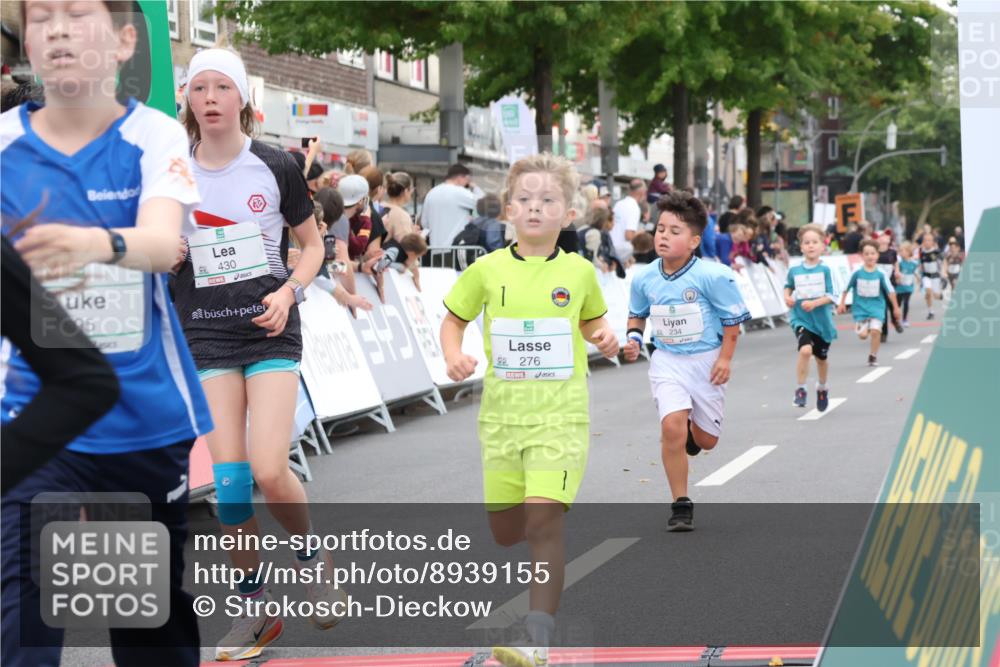 21.09.2025 - PSD Bank Halbmarathon Strokosch-Dieckow http://msf.ph/oto/8939155 21.09.2025 10:30:07 Ziel 131, 140, 195, 234, 272, 276, 430, 438 meine-sportfotos.de