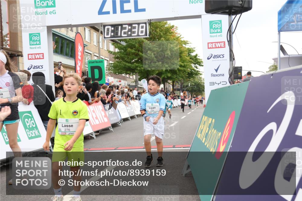 21.09.2025 - PSD Bank Halbmarathon Strokosch-Dieckow http://msf.ph/oto/8939159 21.09.2025 10:30:09 Ziel 140, 141, 195, 234, 272, 276, 430, 438 meine-sportfotos.de