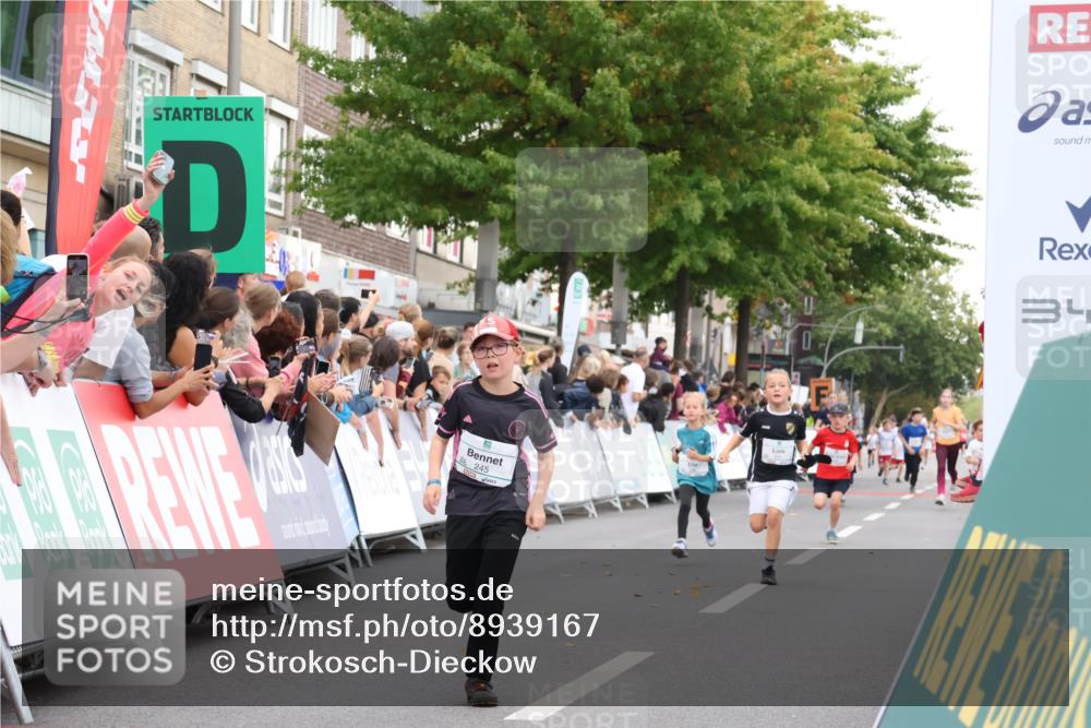 21.09.2025 - PSD Bank Halbmarathon Strokosch-Dieckow http://msf.ph/oto/8939167 21.09.2025 10:30:15 Ziel 140, 141, 145, 231, 234, 245, 448 meine-sportfotos.de