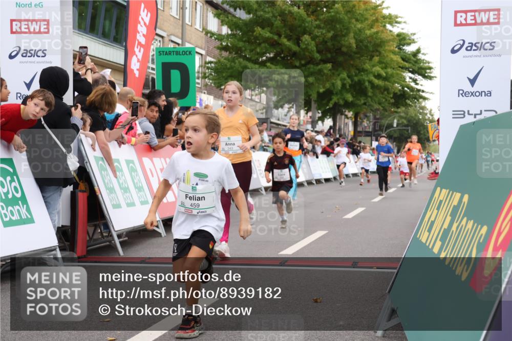 21.09.2025 - PSD Bank Halbmarathon Strokosch-Dieckow http://msf.ph/oto/8939182 21.09.2025 10:30:23 Ziel 145, 227, 231, 243, 245, 343, 377, 407, 448, 458, 459 meine-sportfotos.de