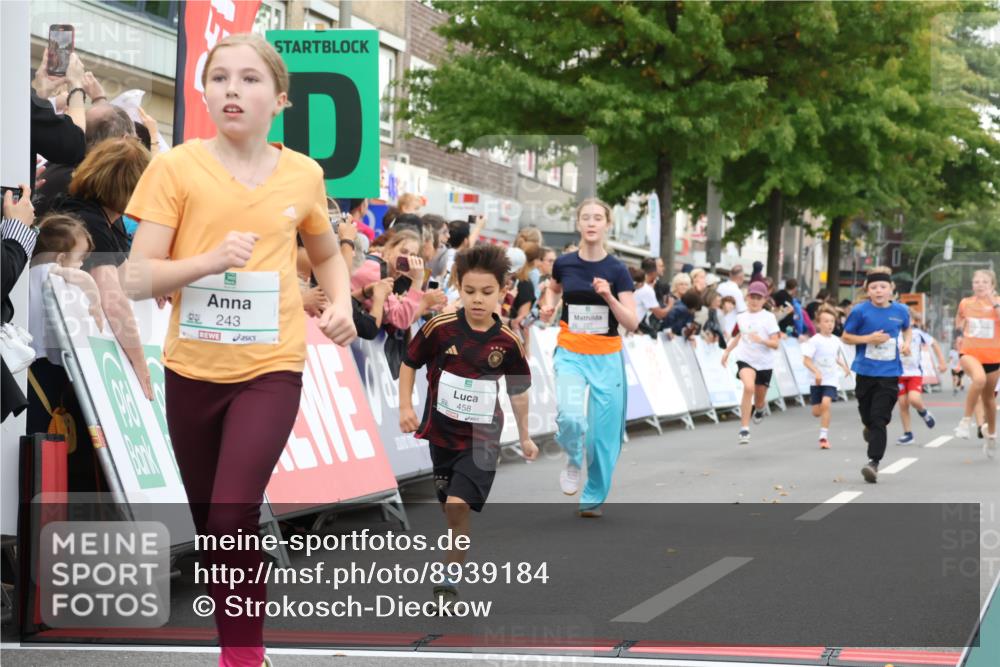 21.09.2025 - PSD Bank Halbmarathon Strokosch-Dieckow http://msf.ph/oto/8939184 21.09.2025 10:30:24 Ziel 102, 104, 145, 227, 231, 243, 343, 377, 407, 448, 458, 459 meine-sportfotos.de