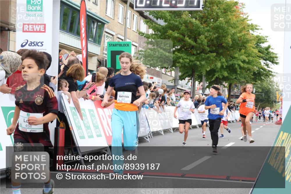 21.09.2025 - PSD Bank Halbmarathon Strokosch-Dieckow http://msf.ph/oto/8939187 21.09.2025 10:30:26 Ziel 102, 104, 145, 227, 243, 343, 377, 382, 407, 448, 458, 459 meine-sportfotos.de