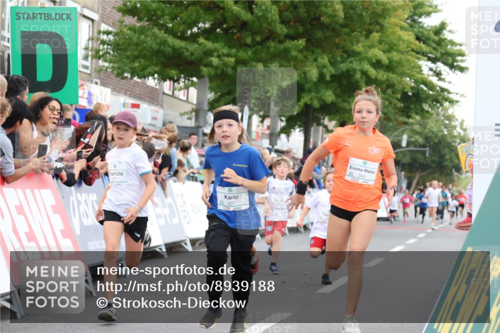 21.09.2025 - PSD Bank Halbmarathon Strokosch-Dieckow http://msf.ph/oto/8939188 21.09.2025 10:30:27 Ziel 102, 104, 145, 227, 243, 343, 377, 382, 407, 448, 458, 459 meine-sportfotos.de