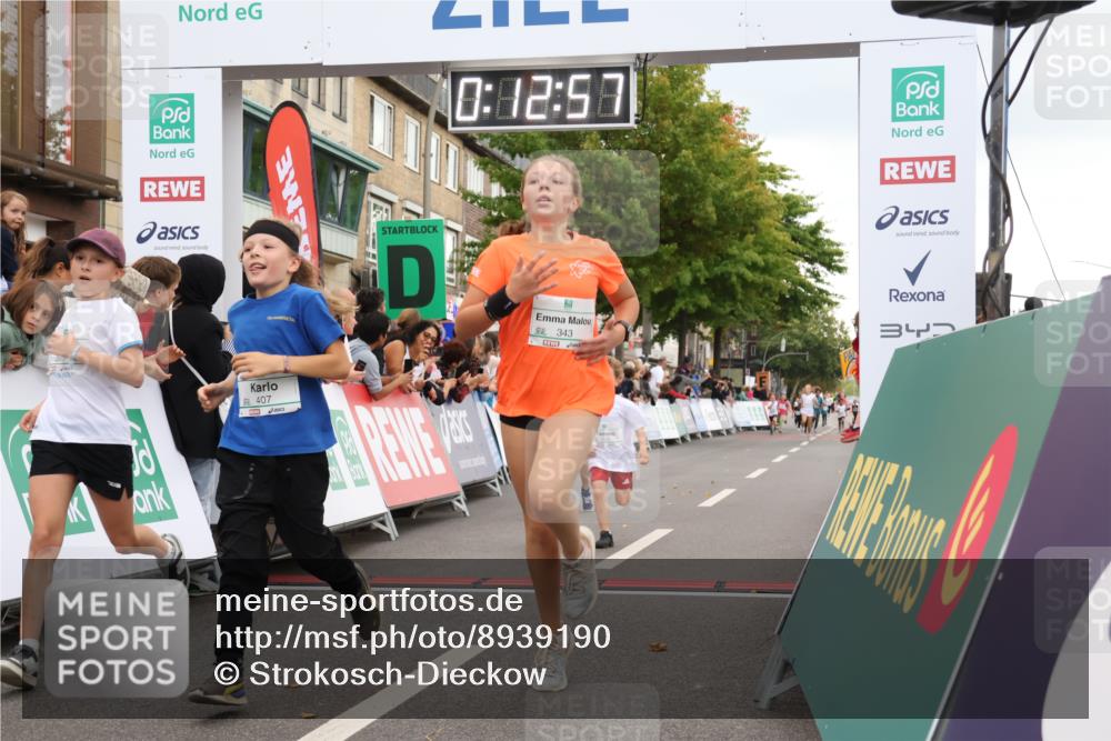 21.09.2025 - PSD Bank Halbmarathon Strokosch-Dieckow http://msf.ph/oto/8939190 21.09.2025 10:30:28 Ziel 102, 104, 227, 243, 343, 377, 382, 407, 458, 459 meine-sportfotos.de