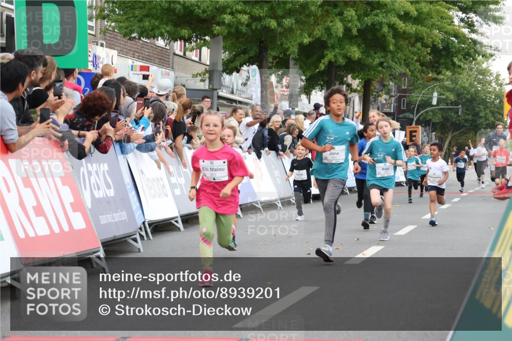 21.09.2025 - PSD Bank Halbmarathon Strokosch-Dieckow http://msf.ph/oto/8939201 21.09.2025 10:30:38 Ziel 129, 151, 263, 344, 351, 370, 375, 431 meine-sportfotos.de
