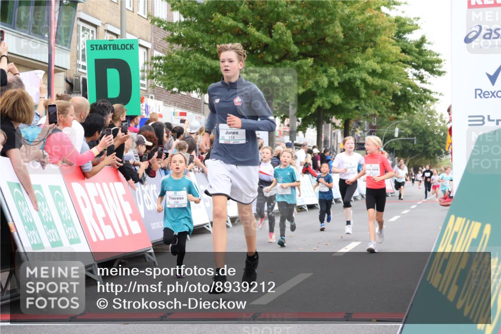 21.09.2025 - PSD Bank Halbmarathon Strokosch-Dieckow http://msf.ph/oto/8939212 21.09.2025 10:30:45 Ziel 116, 129, 151, 246, 263, 320, 351, 370, 375, 402, 405, 431, 456, 457 meine-sportfotos.de