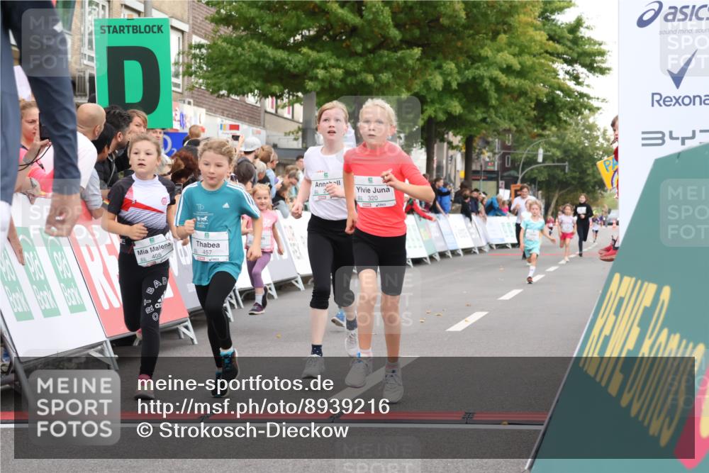 21.09.2025 - PSD Bank Halbmarathon Strokosch-Dieckow http://msf.ph/oto/8939216 21.09.2025 10:30:48 Ziel 116, 129, 246, 263, 320, 324, 375, 402, 405, 431, 456, 457 meine-sportfotos.de