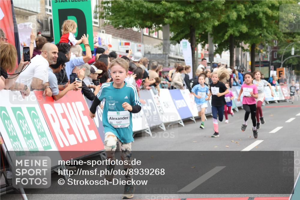 21.09.2025 - PSD Bank Halbmarathon Strokosch-Dieckow http://msf.ph/oto/8939268 21.09.2025 10:31:33 Ziel 139, 147, 148, 287, 311, 326, 352, 376, 387, 439 meine-sportfotos.de