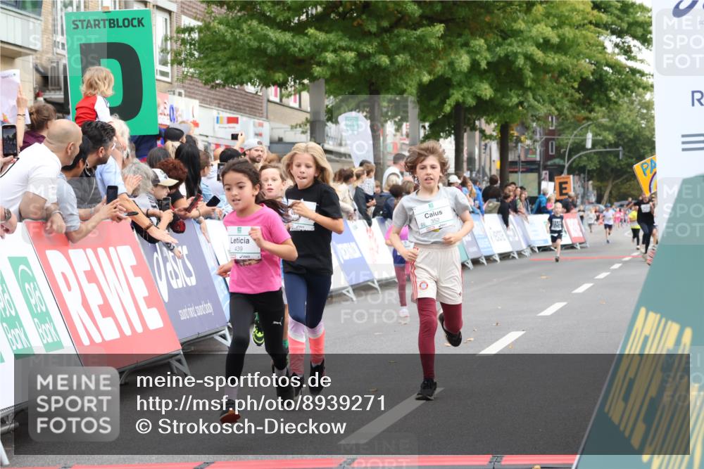 21.09.2025 - PSD Bank Halbmarathon Strokosch-Dieckow http://msf.ph/oto/8939271 21.09.2025 10:31:36 Ziel 147, 148, 287, 311, 326, 352, 376, 414, 439 meine-sportfotos.de