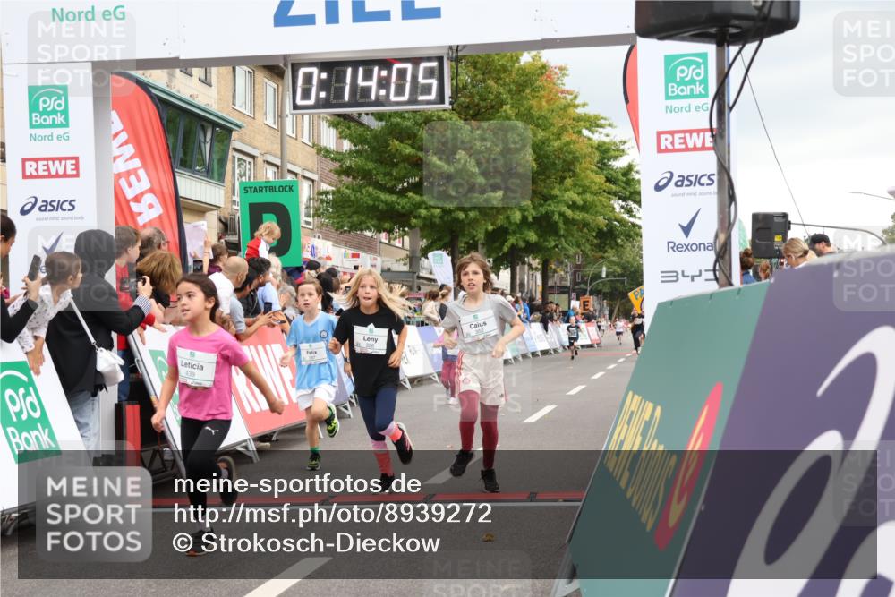21.09.2025 - PSD Bank Halbmarathon Strokosch-Dieckow http://msf.ph/oto/8939272 21.09.2025 10:31:37 Ziel 147, 148, 287, 326, 352, 376, 414, 439 meine-sportfotos.de