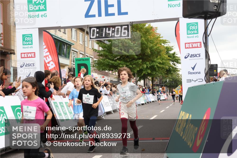 21.09.2025 - PSD Bank Halbmarathon Strokosch-Dieckow http://msf.ph/oto/8939273 21.09.2025 10:31:38 Ziel 147, 148, 287, 326, 352, 414, 439 meine-sportfotos.de