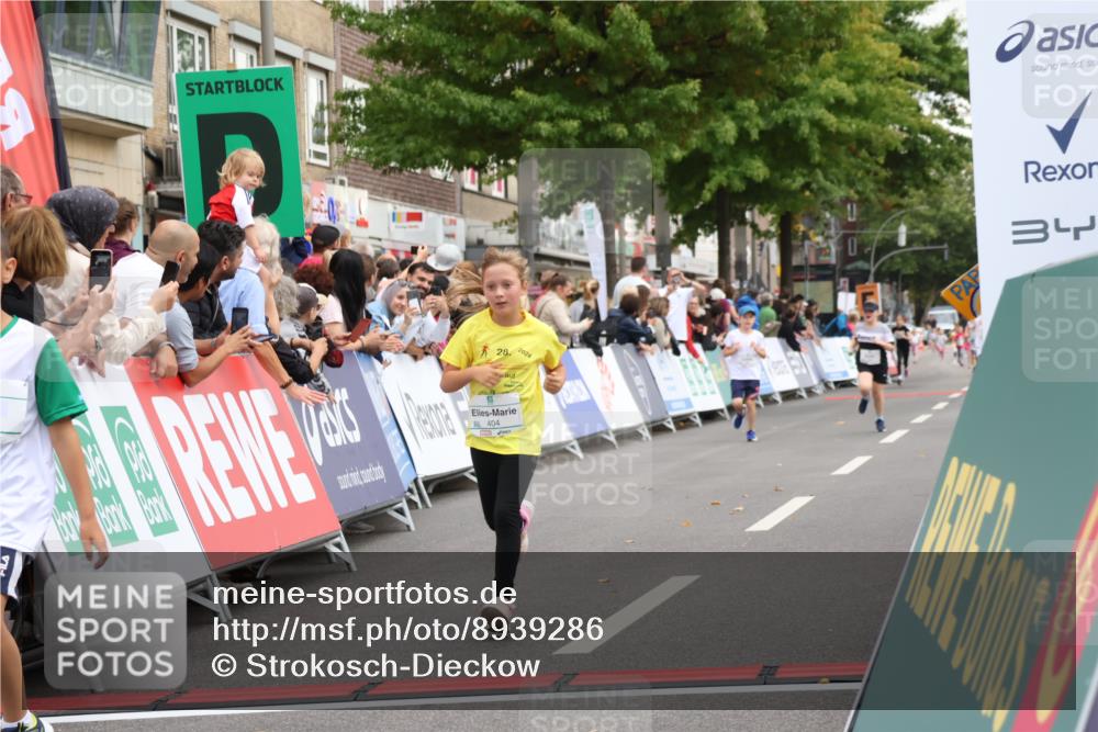 21.09.2025 - PSD Bank Halbmarathon Strokosch-Dieckow http://msf.ph/oto/8939286 21.09.2025 10:31:50 Ziel 122, 224, 404, 454, 463 meine-sportfotos.de