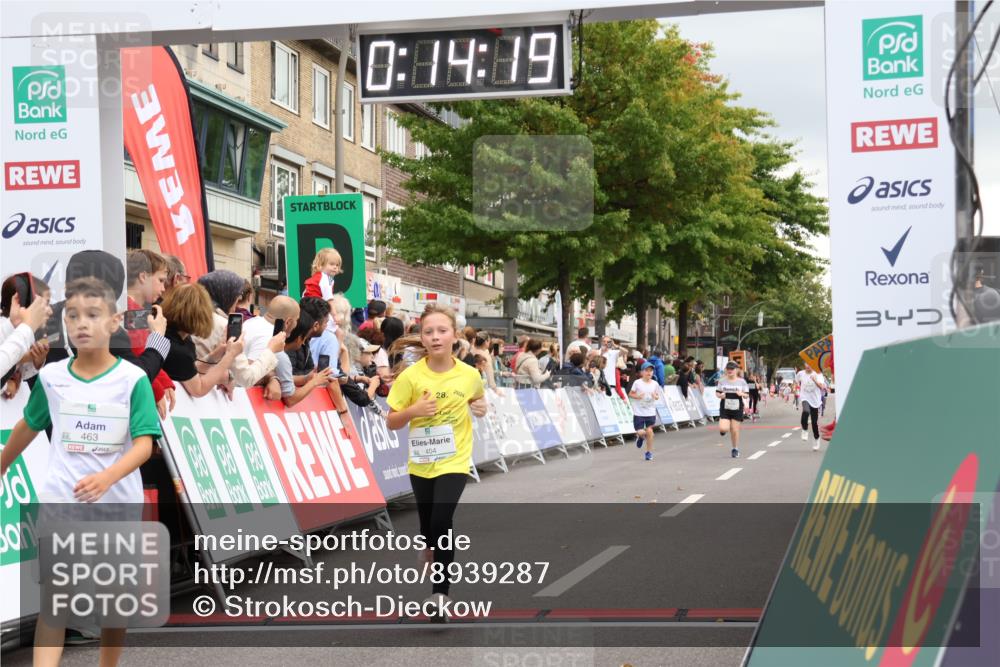 21.09.2025 - PSD Bank Halbmarathon Strokosch-Dieckow http://msf.ph/oto/8939287 21.09.2025 10:31:50 Ziel 122, 224, 404, 454, 463 meine-sportfotos.de