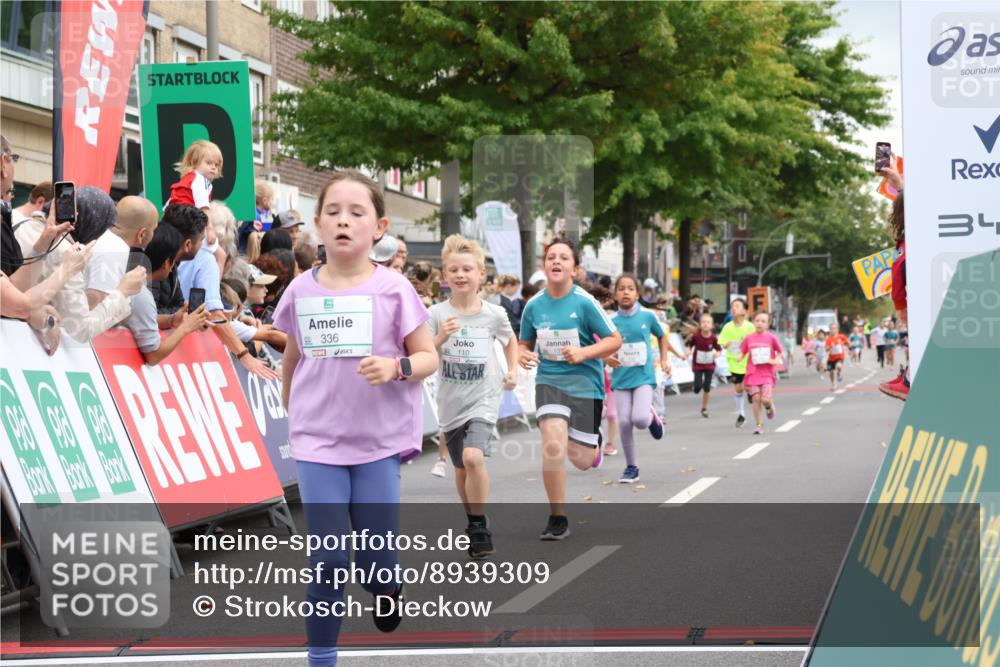 21.09.2025 - PSD Bank Halbmarathon Strokosch-Dieckow http://msf.ph/oto/8939309 21.09.2025 10:32:11 Ziel 110, 135, 137, 208, 259, 260, 309, 336 meine-sportfotos.de