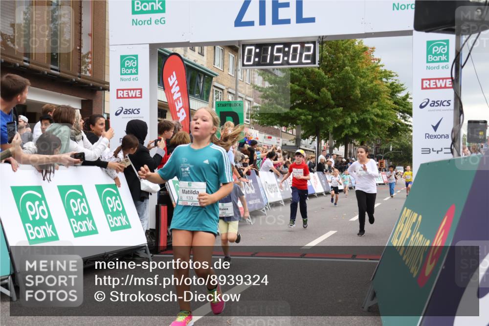 21.09.2025 - PSD Bank Halbmarathon Strokosch-Dieckow http://msf.ph/oto/8939324 21.09.2025 10:32:34 Ziel 133, 159, 173, 238, 282, 368 meine-sportfotos.de