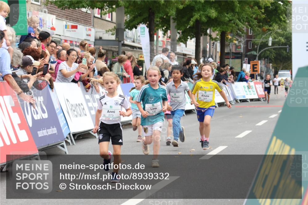21.09.2025 - PSD Bank Halbmarathon Strokosch-Dieckow http://msf.ph/oto/8939332 21.09.2025 10:32:38 Ziel 130, 133, 159, 173, 273, 282, 312, 364, 372 meine-sportfotos.de